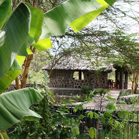 Kiboko Lodge Usa River Экстерьер фото
