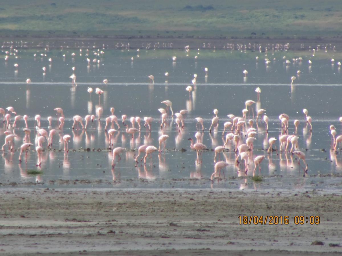 Kiboko Lodge Usa River Экстерьер фото